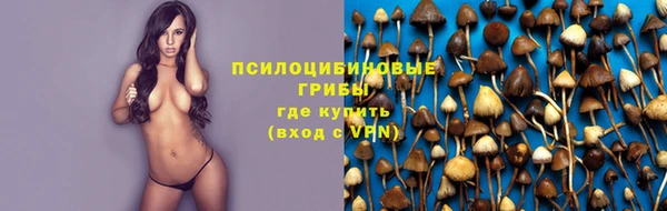 2c-b Арсеньев