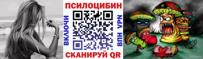Галлюциногенные грибы Cubensis  Белокуриха 