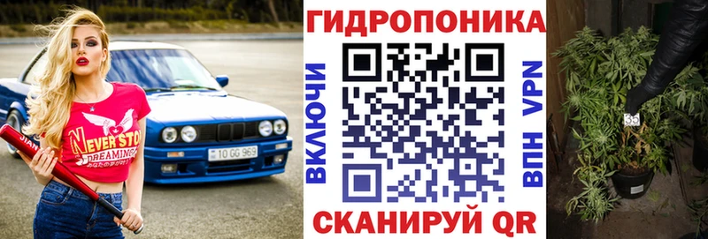 Конопля гибрид Белокуриха